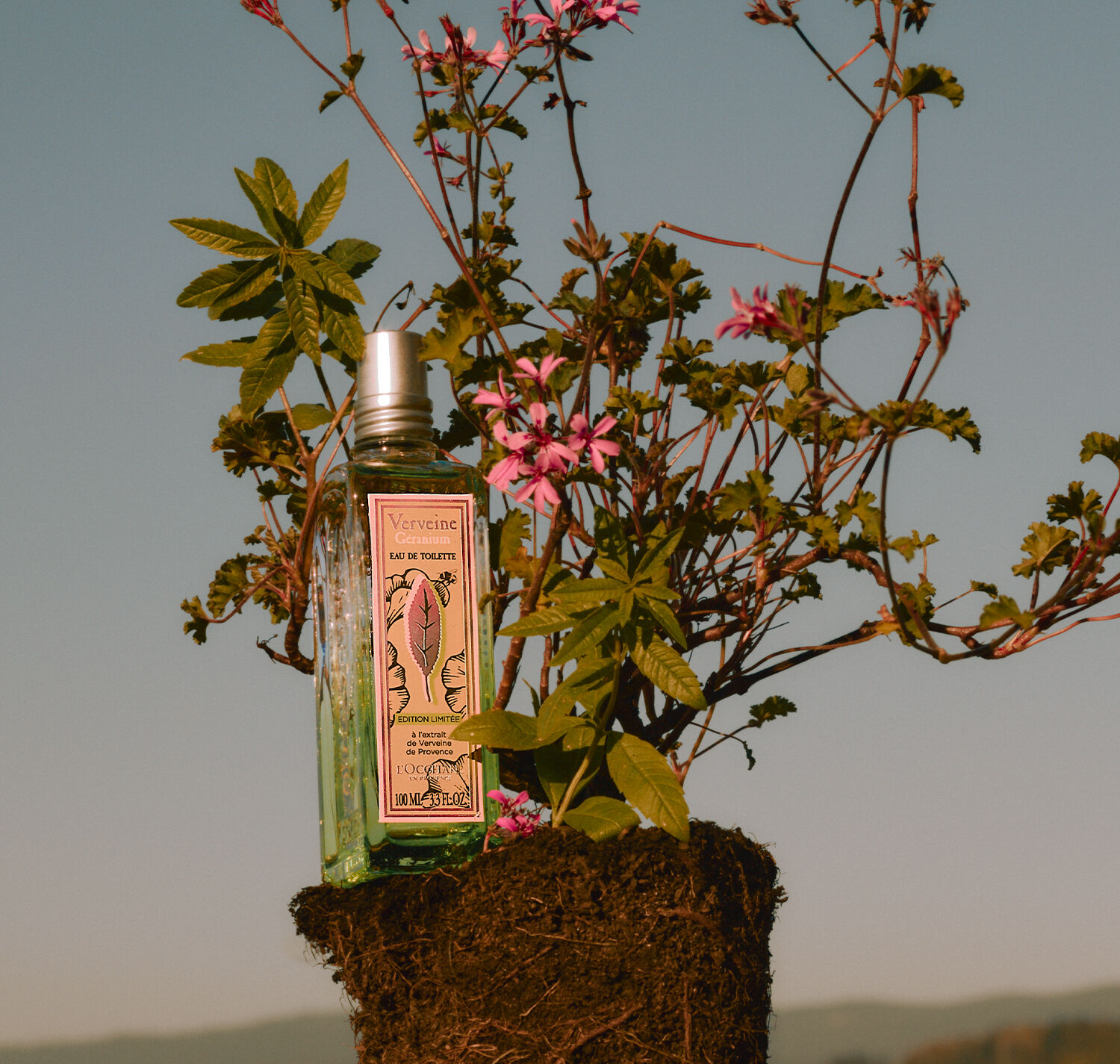 Verveine Geranium L'Occitane en Provence perfume - a new fragrance