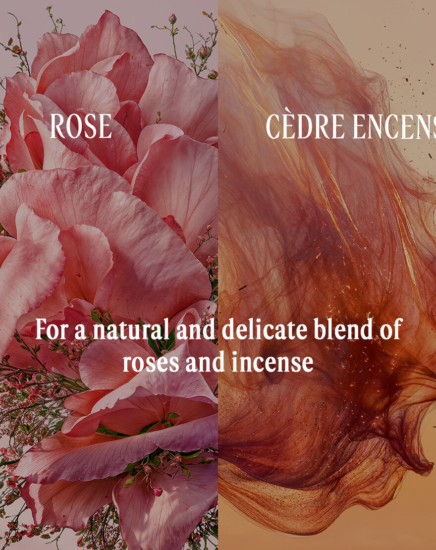 Rose Eau De Toilette rose eau de toilette