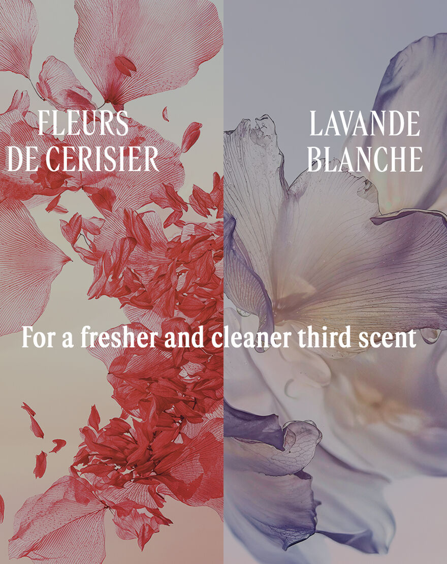 Fleurs de Cerisier (Cherry Blossom) Eau De Toilette fleurs de cerisier cherry blossom eau de toilette