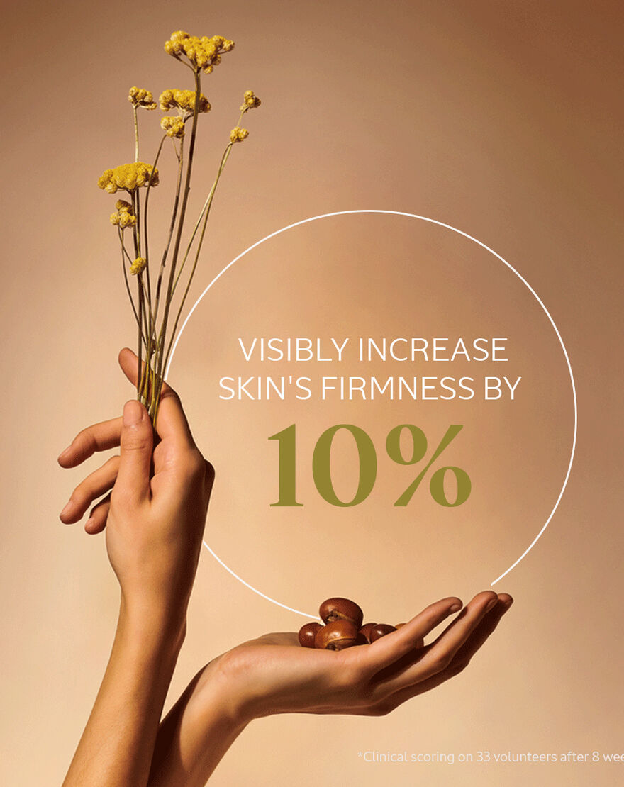 Immortelle Shea Body Balm immortelle shea body balm