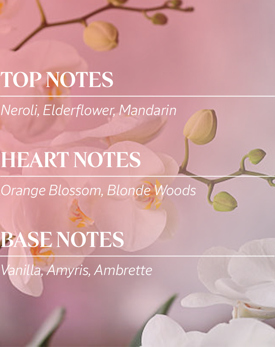 Néroli & Orchidée Eau Harmonieuse Body Lotion n roli orchid e eau harmonieuse body lotion