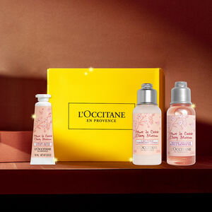 Cherry Blossom Treat Cherry Blossom Treat