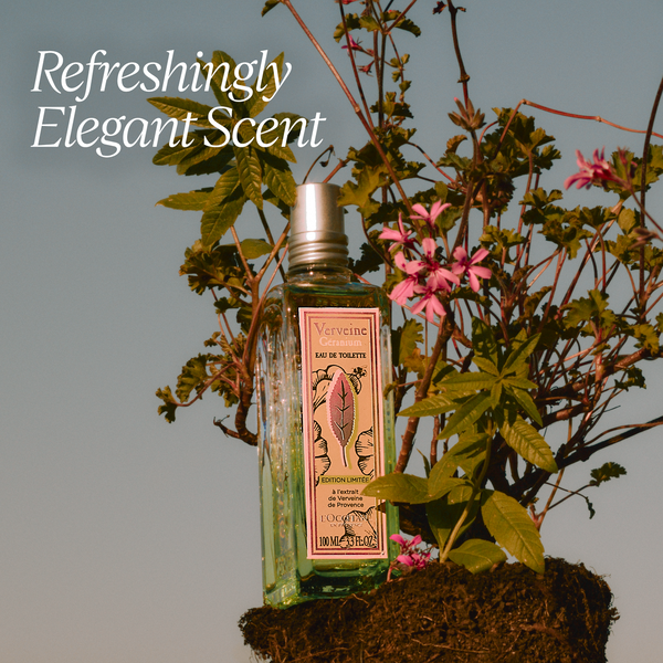 高級素材使用ブランド De Eau Geranium Verbena Toilette Sale Tabby | 香水(女性用)