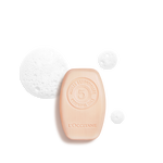 شامبو صلب لإصلاح الشعر المتضرر شامبو صلب لإصلاح الشعر المتضرر