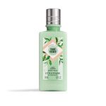 Green Tea Body Milk Green Tea Body Milk