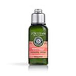 شامبو أروماكولوجي لإصلاح مكثف للشعر المتضرر, 75ml شامبو أروماكولوجي لإصلاح مكثف للشعر المتضرر, 75ml