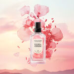 The Fresh Duo the fresh duo