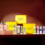 توزيعات العطور توزيعات العطور