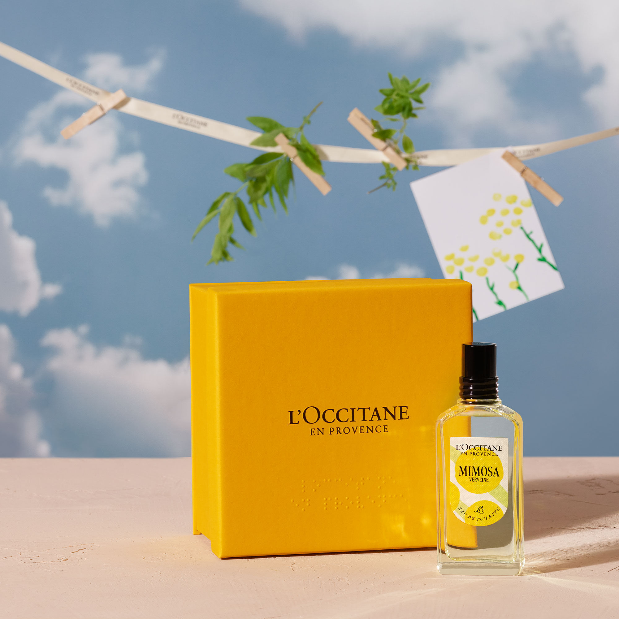 な*ん様 L'Occitane Mimosa Verveine 50ml 限定版 Mimosa Verveine Eau de Toilette | Mimosa Verveine
