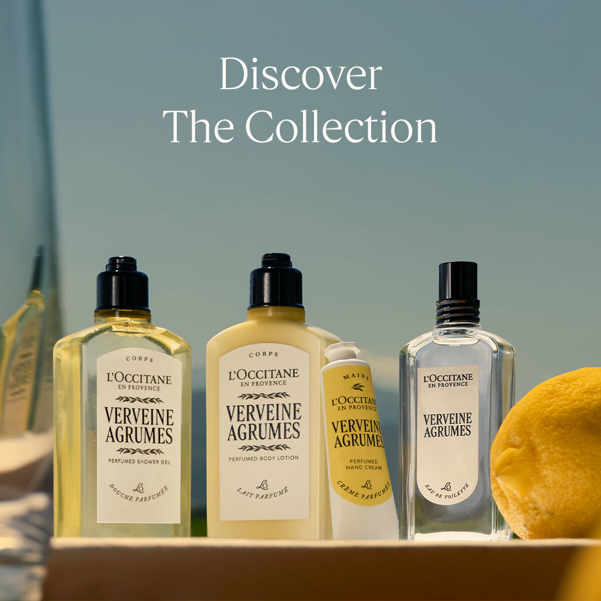 Verveine Agrumes (Citrus Verbena) Perfumed Shower Gel
