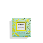 Herbae par L'OCCITANE Spartium Scented Soap herbae par l occitane spartium scented soap