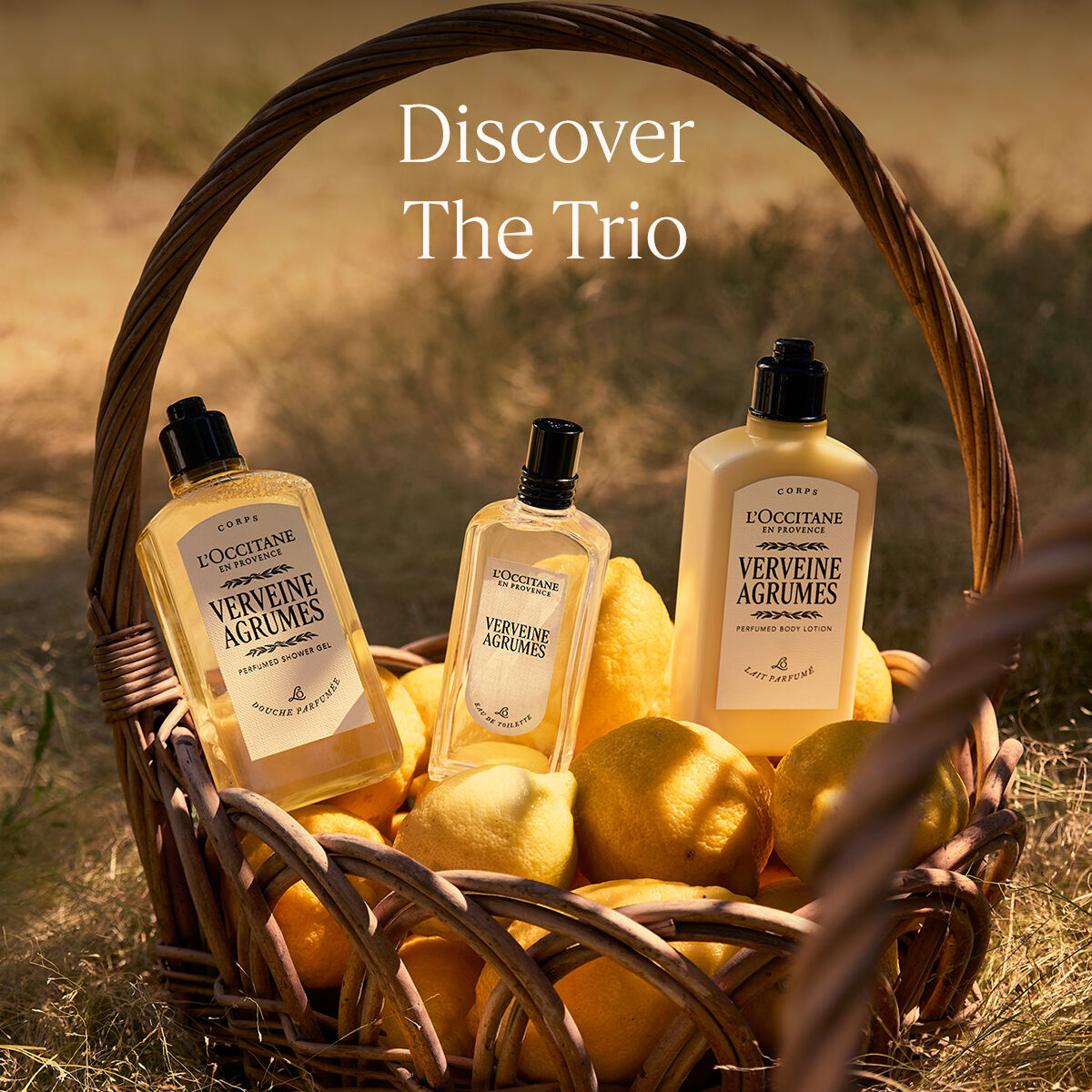 Citrus Verbena - Sparkling Provencal Freshness | L'Occitane KSA