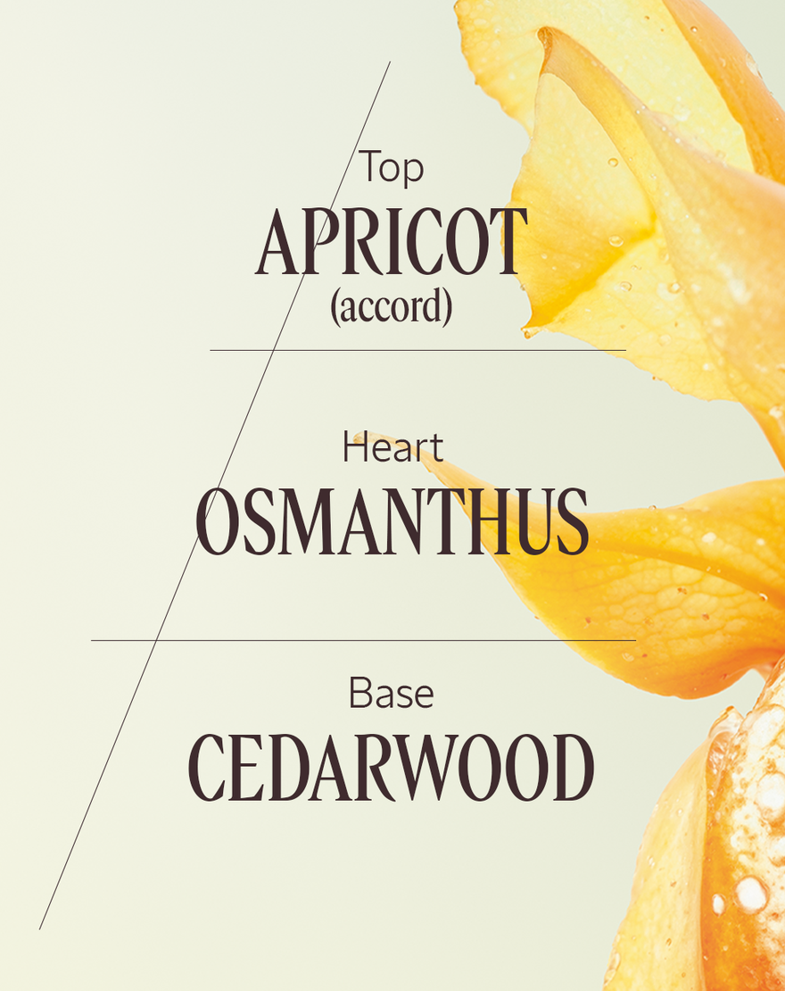 Osmanthus Abricot Eau De Toilette osmanthus abricot eau de toilette