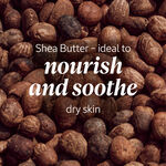 كريم الشيا الغنيّ للجسم كريم الشيا الغنيّ للجسم