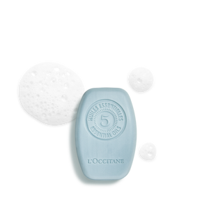 Purifying Freshness Solid Shampoo