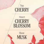 مجموعة فلور دو سوريزييه (زهرة الكرز) مجموعة فلور دو سوريزييه زهرة الكرز