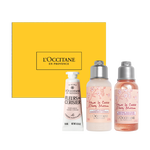 Cherry Blossom Treat cherry blossom treat