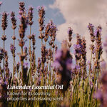 Lavender Hand Cream lavender hand cream