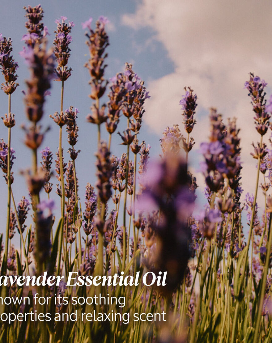 Lavender Hand Cream lavender hand cream