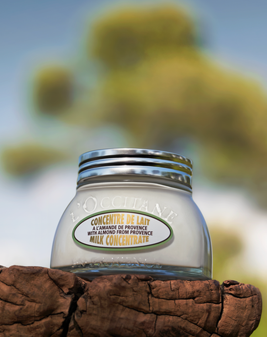 Almond Milk Concentrate almond milk concentrate