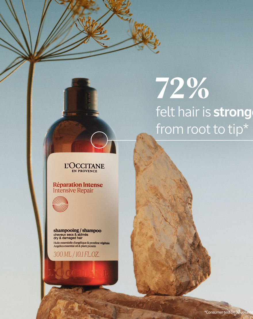 Intensive Repair Shampoo Intensive Repair Shampoo