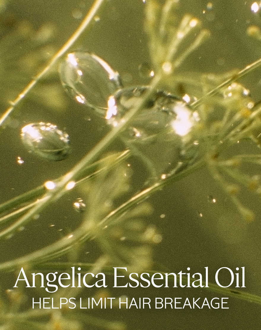 Intensive Repair Sublimating Oil intensive repair sublimating oil