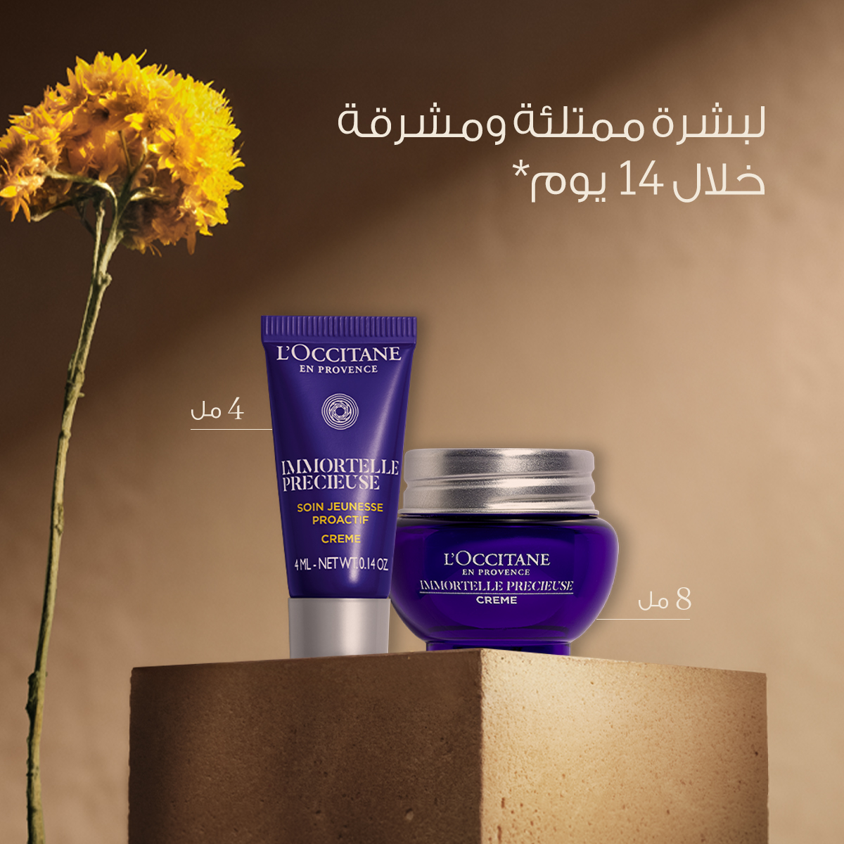Immortelle Precious Cream