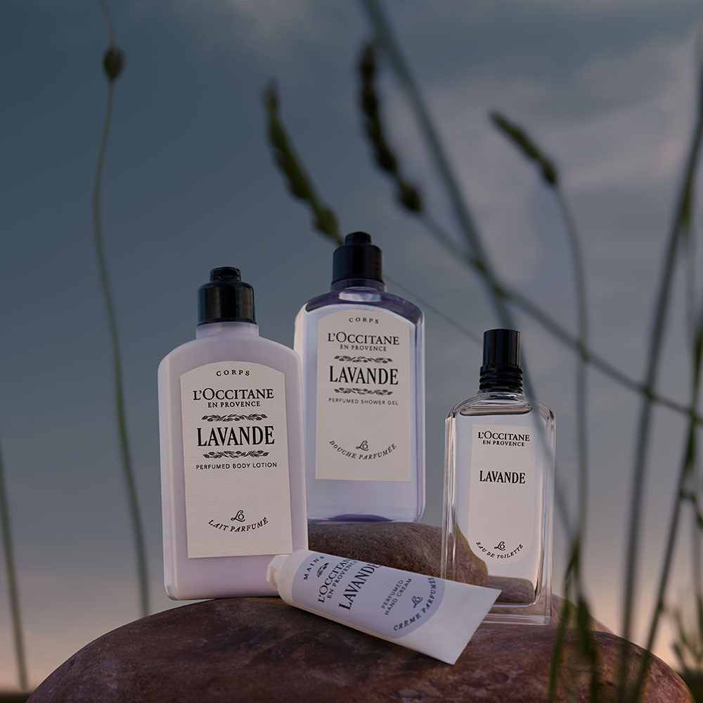Lavender fragrance in Provençal scenery