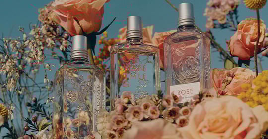 Terre de Lumière L'Eau Eau de Toilette | Les Classiques de L